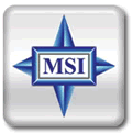 MSI